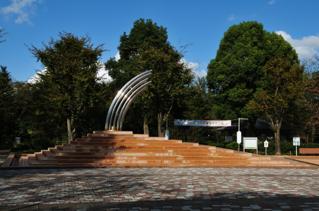 DSC_6240 (2)_00001.jpg