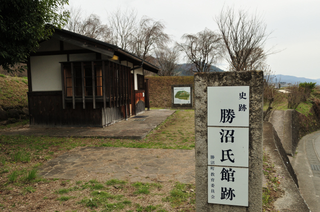 DSC_6240_001.JPG