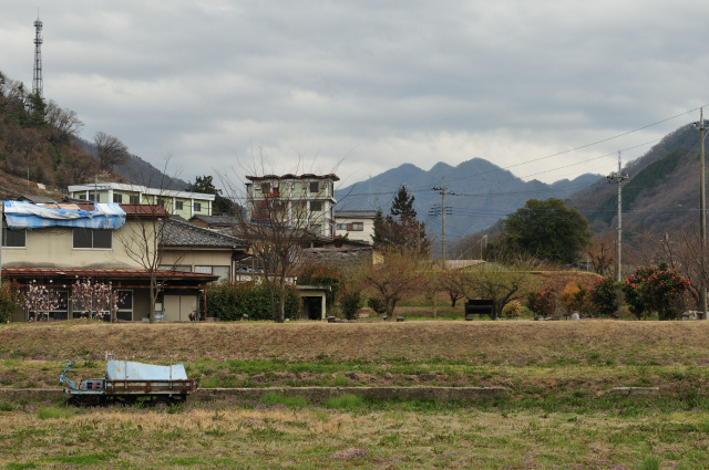 DSC_6242_001.JPG