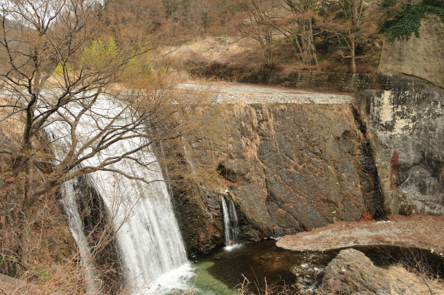 DSC_6246_001.JPG