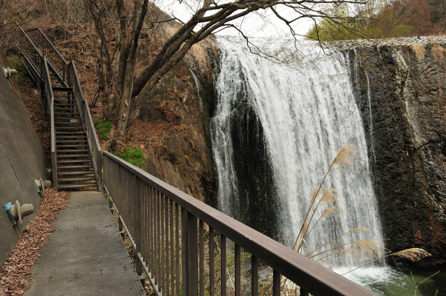 DSC_6252_001.JPG