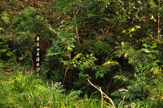 DSC_6254 (2)_00001.jpg