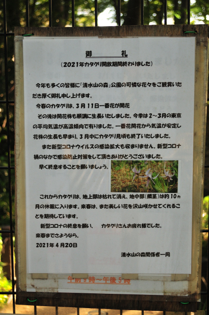 DSC_6257 (2)_00001.jpg