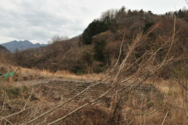 DSC_6261_001.JPG