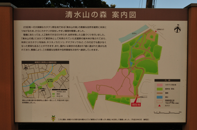 DSC_6262 (2)_00001.jpg