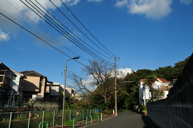 DSC_6274 (2)_00001.jpg