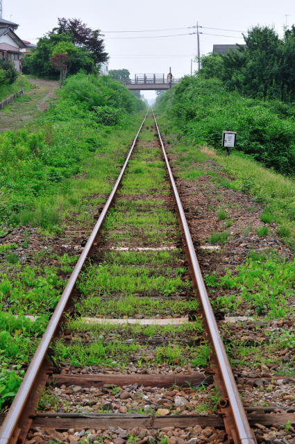 DSC_6314 (2).jpg