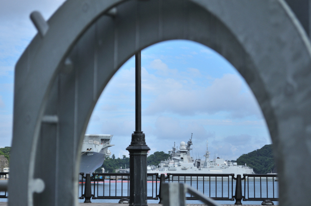 DSC_6584_001.JPG