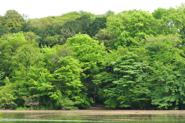 DSC_6638 (2)_00001.jpg