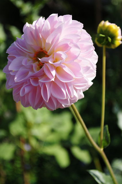 DSC_6708 (2)_00001.jpg