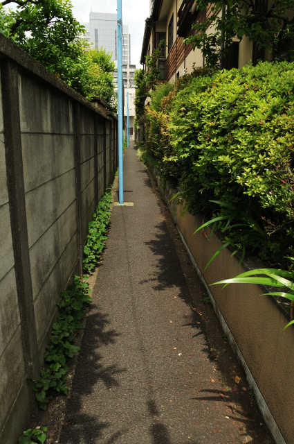 DSC_6712 (2)_00001.jpg