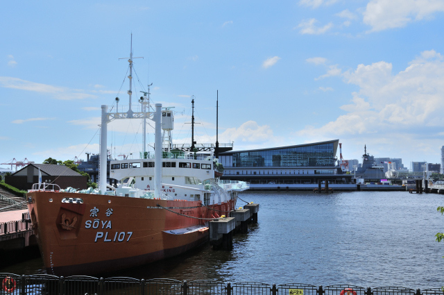 DSC_6713_001.JPG