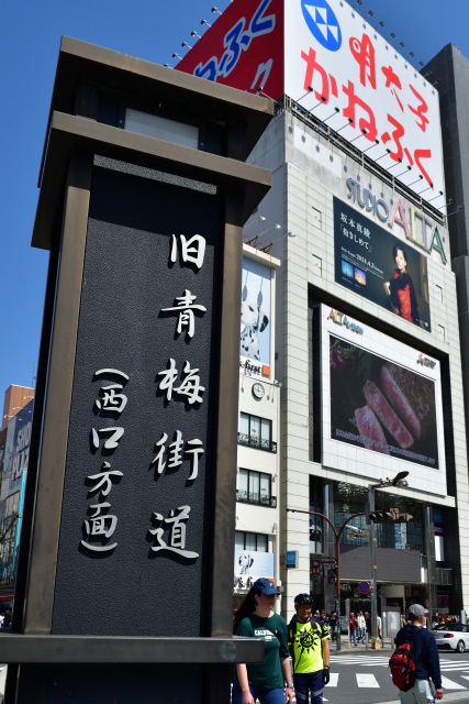 DSC_6734_001.JPG