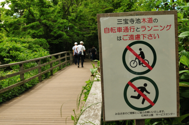 DSC_6735 (2)_00001.jpg