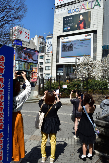 DSC_6743_001.JPG