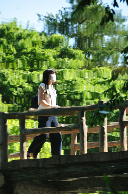 DSC_6792 (2)_00001.jpg