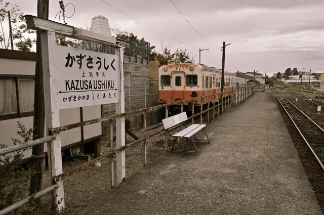 DSC_6796_001.JPG