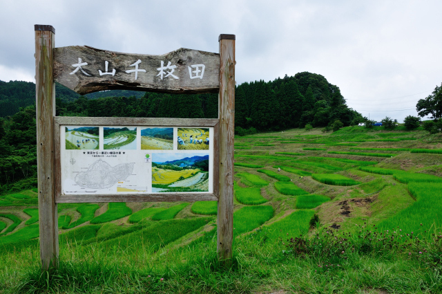 DSC_6835 (2).jpg