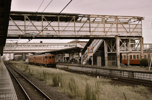 DSC_6875_001.JPG