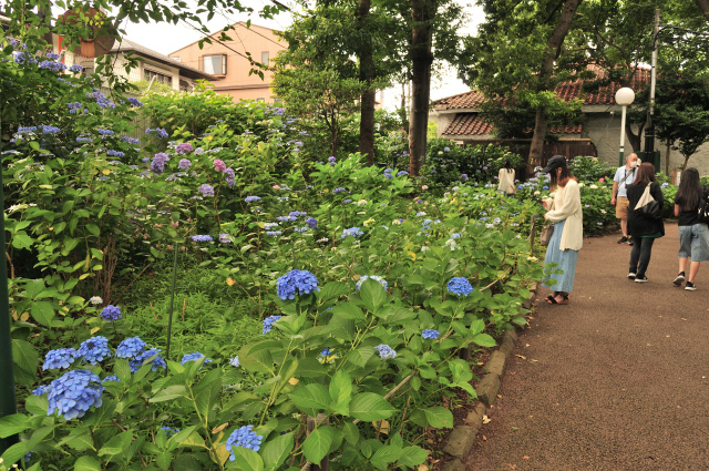 DSC_7011 (2)_00001.jpg