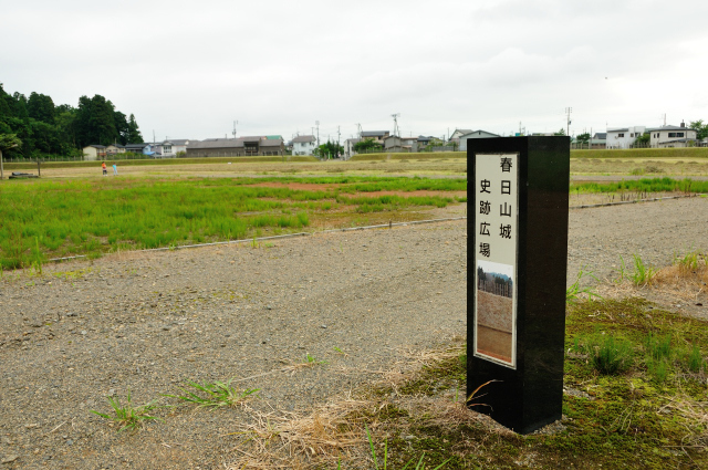 DSC_7159 (2).jpg
