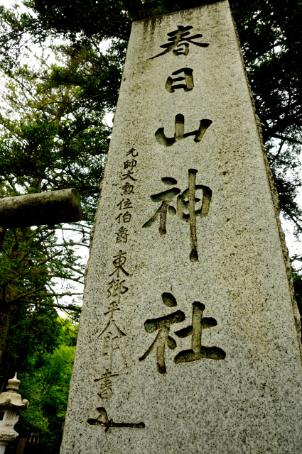 DSC_7195 (2).jpg