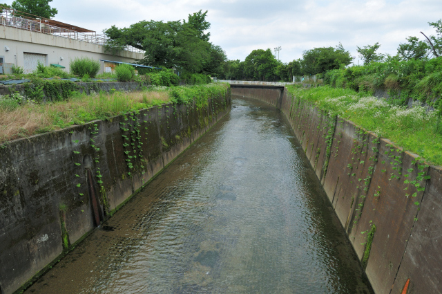 DSC_7197 (2)_00001.jpg