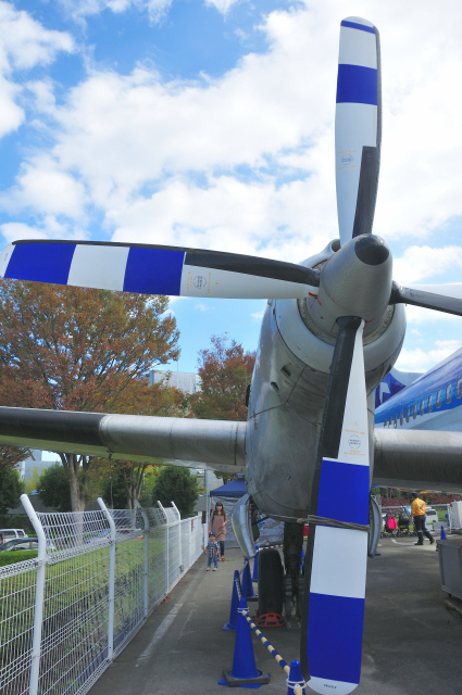 DSC_7199 (2)_00001.jpg