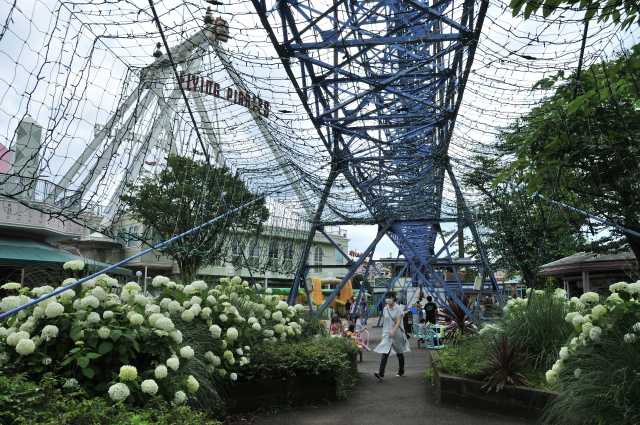 DSC_7207 (2)_00001.jpg
