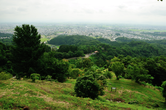 DSC_7213 (2).jpg