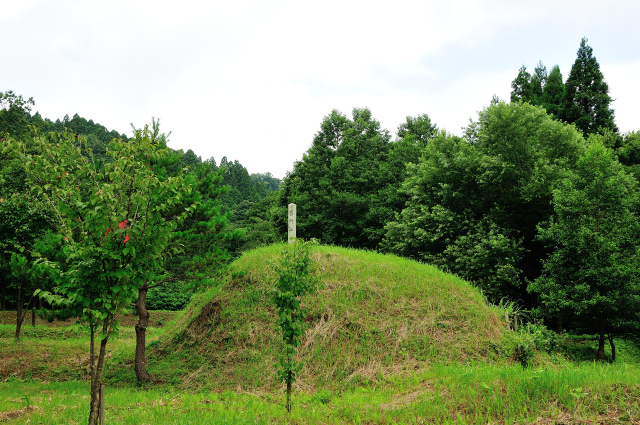 DSC_7230 (2).jpg
