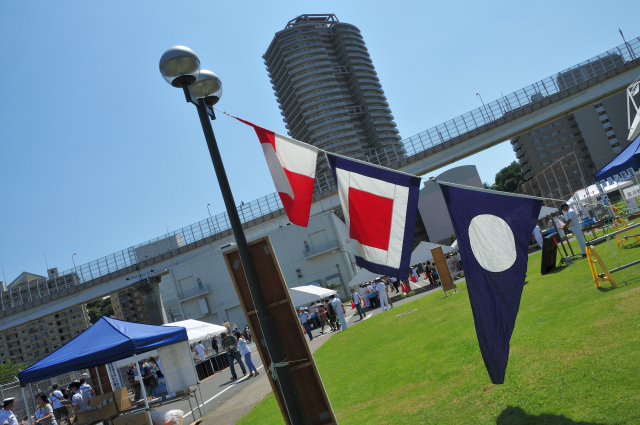DSC_7238 (2)_00001.jpg