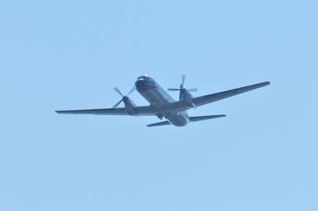 DSC_7318 (2)_00001.jpg
