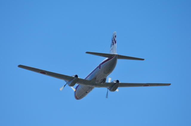 DSC_7319 (2)_00001.jpg