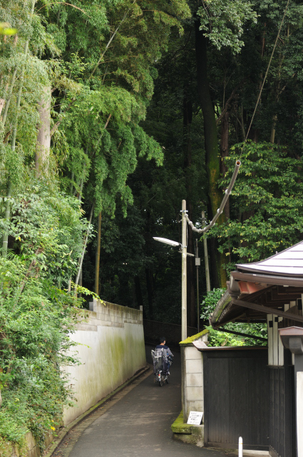DSC_7320 (2)_00001.jpg