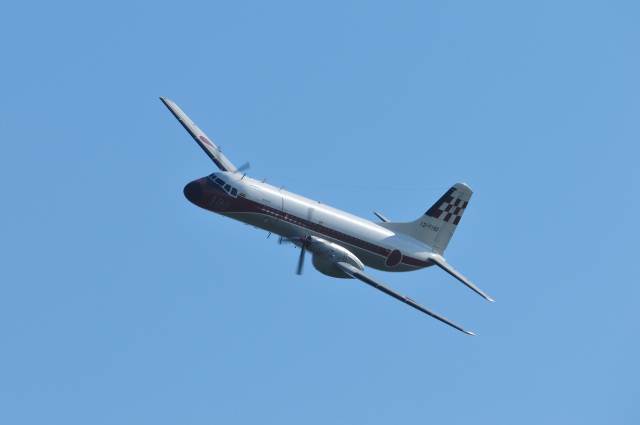 DSC_7339 (2)_00001.jpg