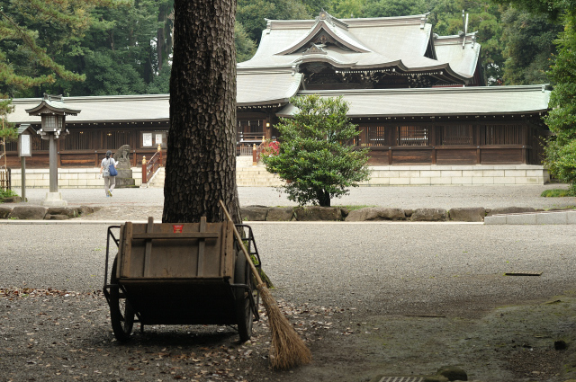 DSC_7511 (2)_00001.jpg