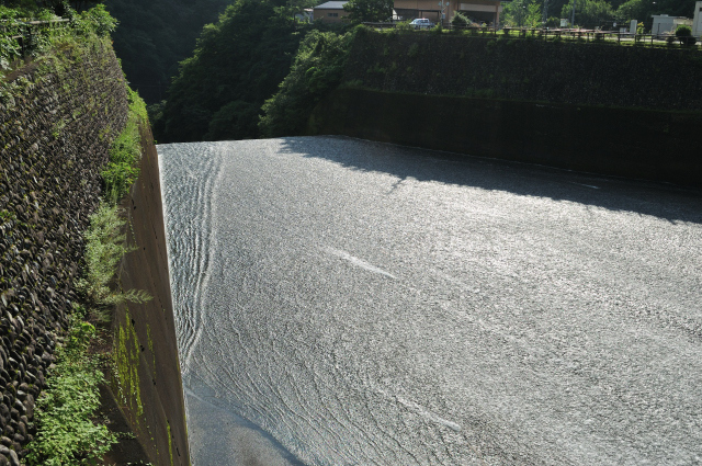 DSC_7617 (2)_00001.jpg