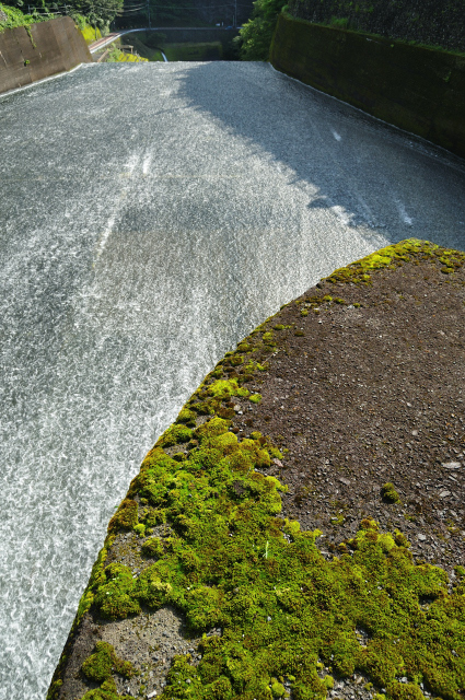 DSC_7631 (2)_00001.jpg