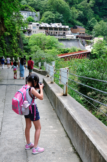 DSC_7649 (2).jpg