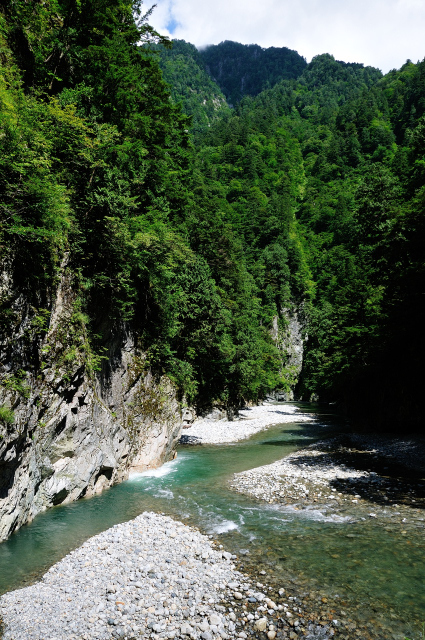 DSC_7687 (2).jpg
