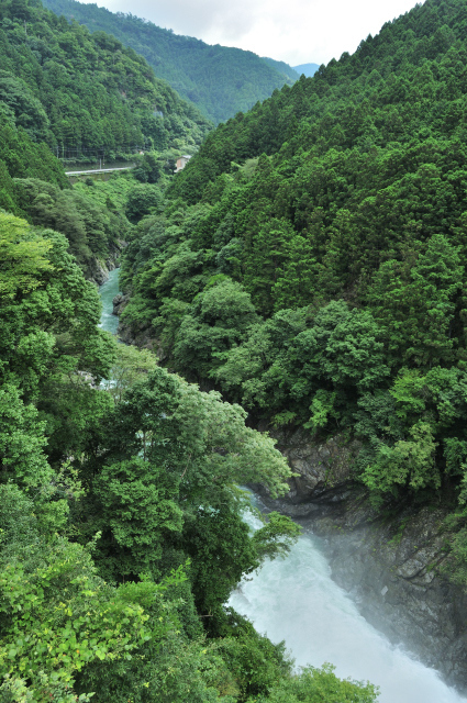 DSC_7691 (2)_00001.jpg