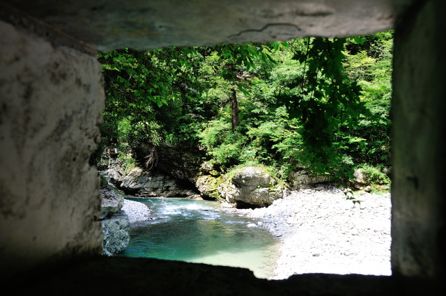 DSC_7702 (2).jpg