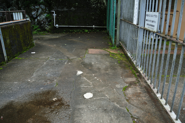 DSC_7704 (2)_00001.jpg