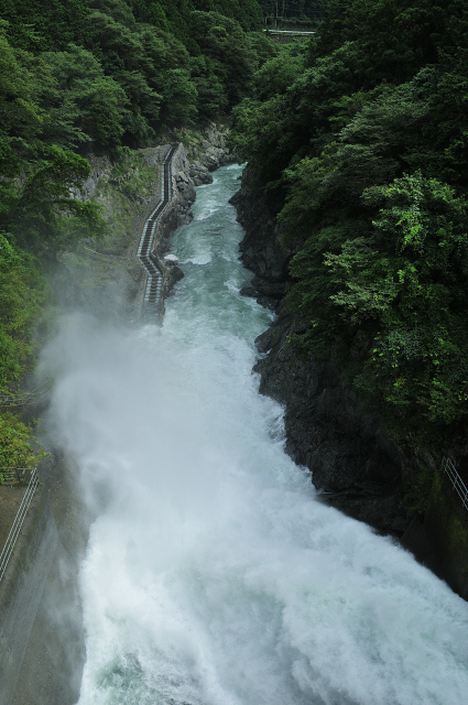 DSC_7707 (2)_00001.jpg