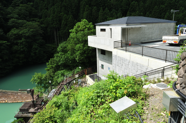 DSC_7711 (2)_00001.jpg