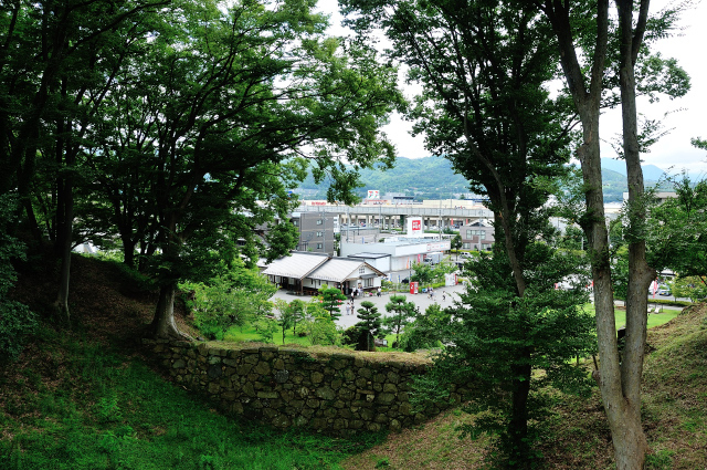 DSC_7826 (2).jpg