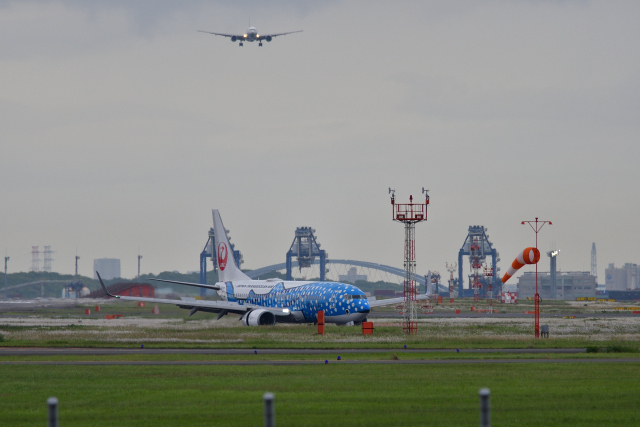 DSC_7883_001.JPG