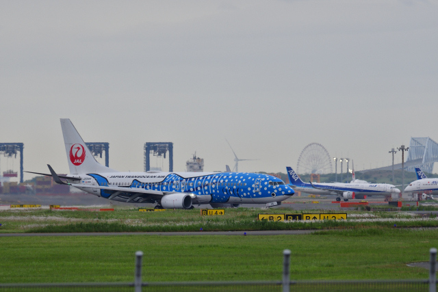 DSC_7899_001.JPG