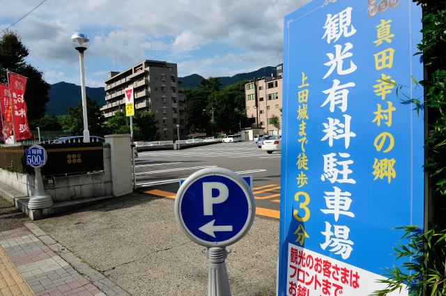 DSC_7907 (2).jpg